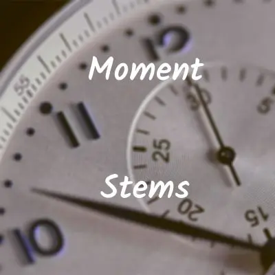 Moment (STEMS, MIDI, MASTER)Audio STEMS