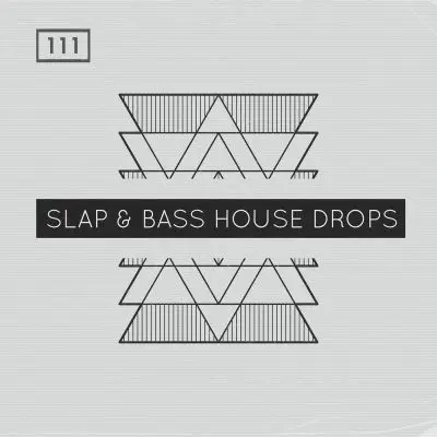 Slap & Bass House DropsMIDI FIles