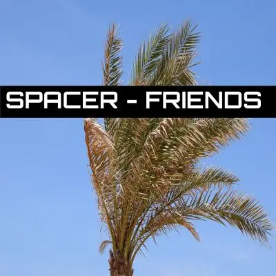 Spacer - FriendsStock Music