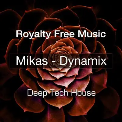 Dynamix MasterStock Music