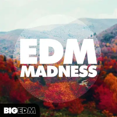EDM MadnessSample Packs