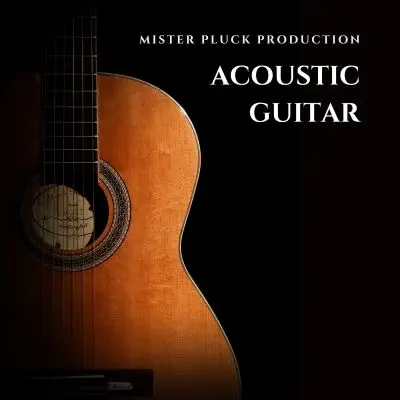 Acoustic GuitarSample Packs