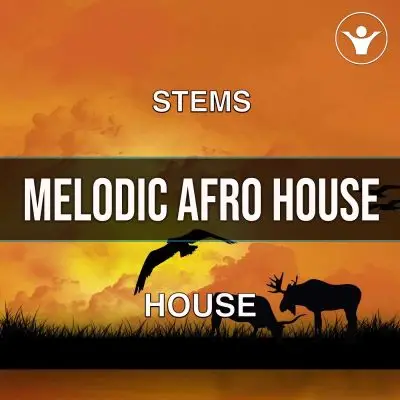 Melodic Afro HouseAudio STEMS