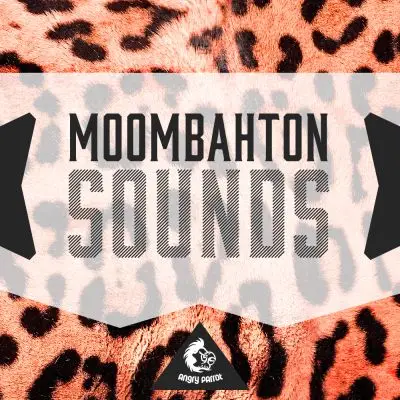 Moombahton SoundsMIDI FIles