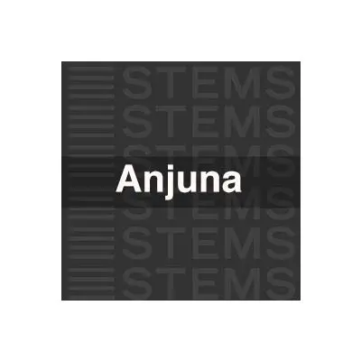 Anjuna Progressive  STEMS MasteringAudio STEMS