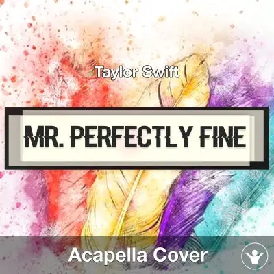 Mr. Perfectly Fine (Taylor Swift) - Acapella CoverAcapella Covers