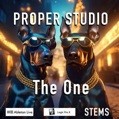 Proper Studio - The OneAudio STEMS