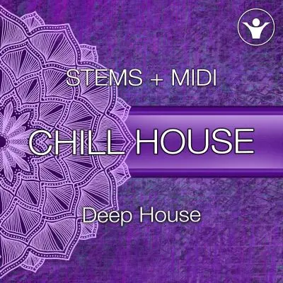 Beat on Chill House 001 Stems by Duque Audio STEMS