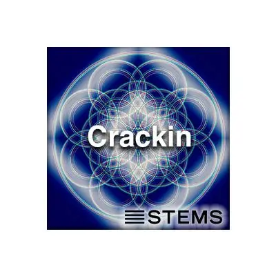 Crackin - StemsAudio STEMS