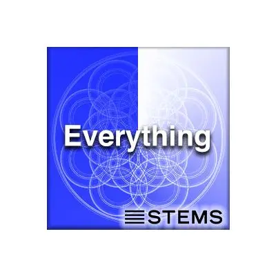Everything (Club) - StemsAudio STEMS