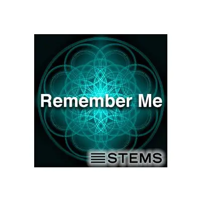Remember Me STEMSAudio STEMS