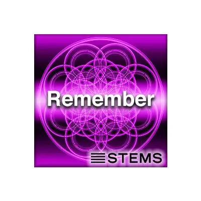 Remember STEMSAudio STEMS