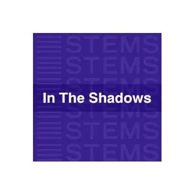 In The Shadows.Audio STEMS