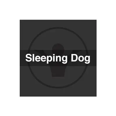 Sleeping Dog RemixStock Music