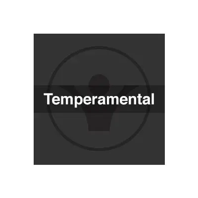 Temperamental (Original)Stock Music