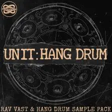 Unit: Hang Drum & Rav Vast