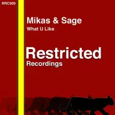Mikas & Sage - What U Like (Radio Mix) 