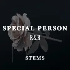 Special Person ( WAV STEMS )