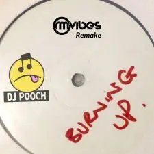 DJ Pooch - Burning Up (Ableton Live Remake)