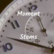 Moment (STEMS, MIDI, MASTER)