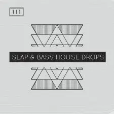 Slap & Bass House Drops
