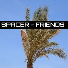 Spacer - Friends