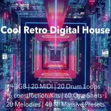Cool Retro Digital House