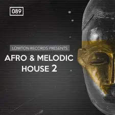 Afro and Melodic House 2 by Lowton Records