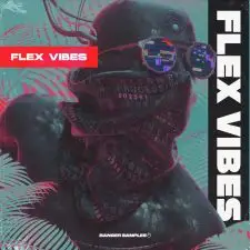 Flex Vibes