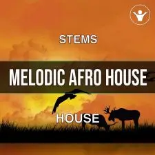 Melodic Afro House