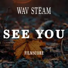 See YOU ( WAV STEMS )