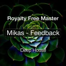 Feedback - Master