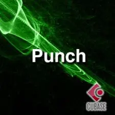 Punch
