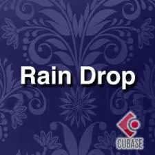 Rain Drop