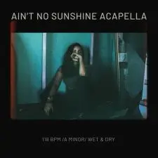 Ain't No Sunshine - Acapella Cover