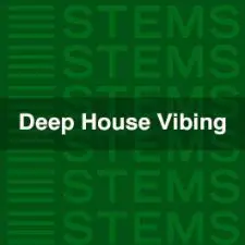 Deep House Vibing.