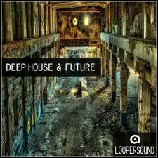 Loopersound - Deep House & Future