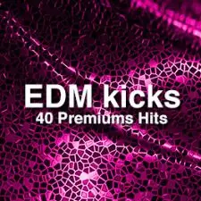 EDM Kicks