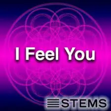 I Feel You Tonight STEMS