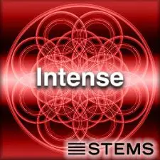 Intense - STEMS