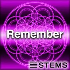 Remember STEMS