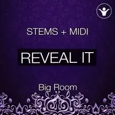 Revealed It To You STEMS
