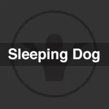 Sleeping Dog Remix