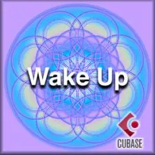 Wake Up BroStep - Exclusive Full License