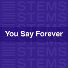 You Say Forever