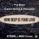 How Deep Is Your Love Calvin Harris & Disciples - STEMS + MIDI Cover 