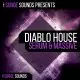 Surge Sounds - Diablo House