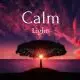 Calm Lights (Yoga Guitar)