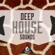 Deep House Sounds
