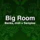 Big Room TP